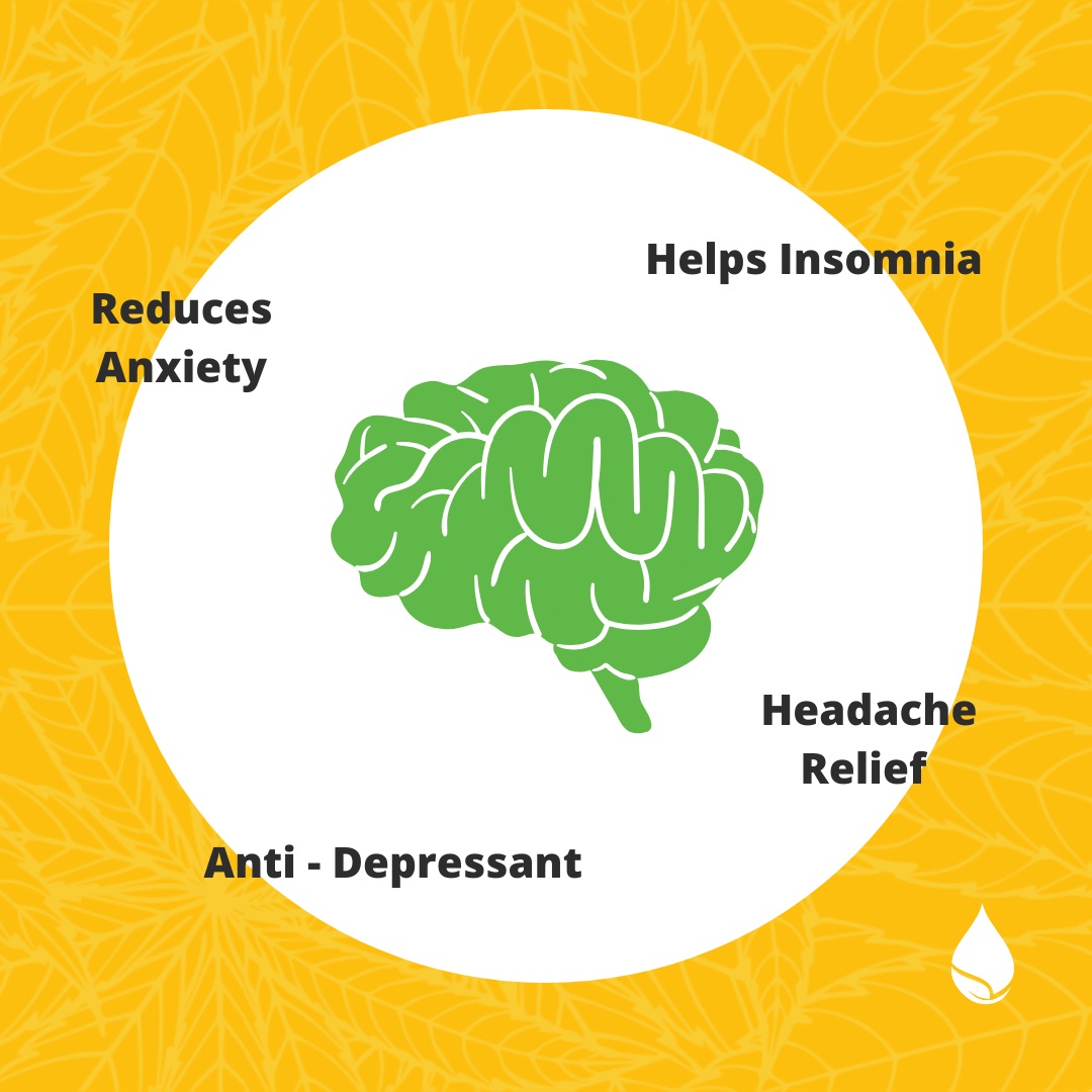 CBD For Anxiety