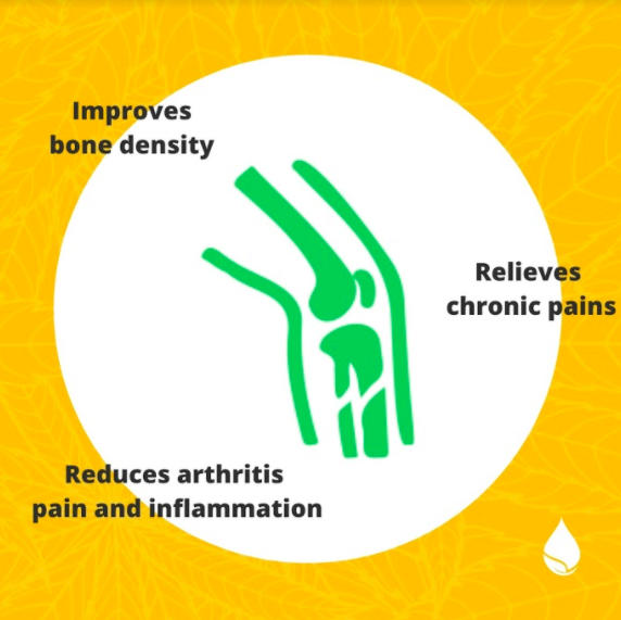 The Science of CBD in Treating Arthritis