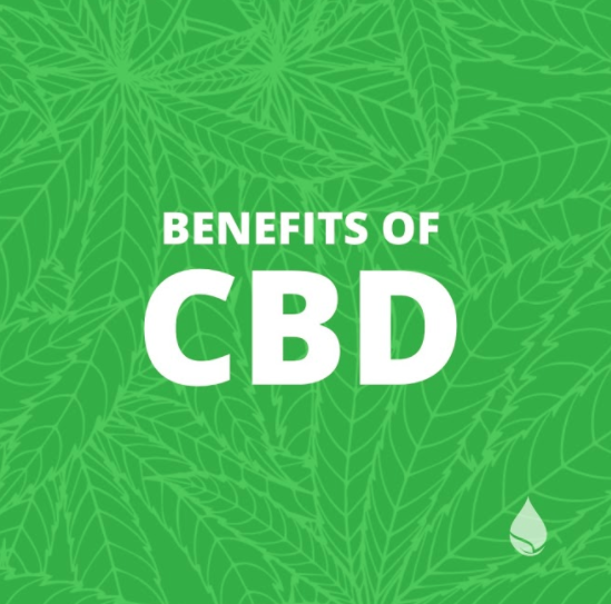 CBD for Multiple Sclerosis: What You Need to Know