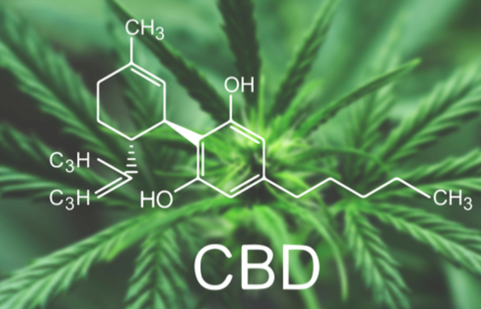 Understanding The Delivery Methods of CBD Products